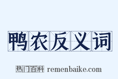 鸭农反义词是什么意思的图片